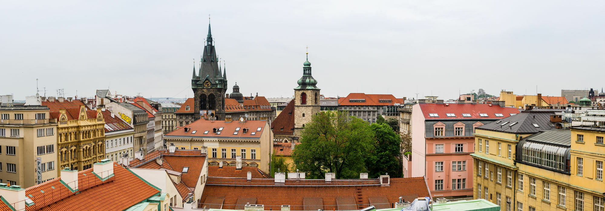 Jindrisska *